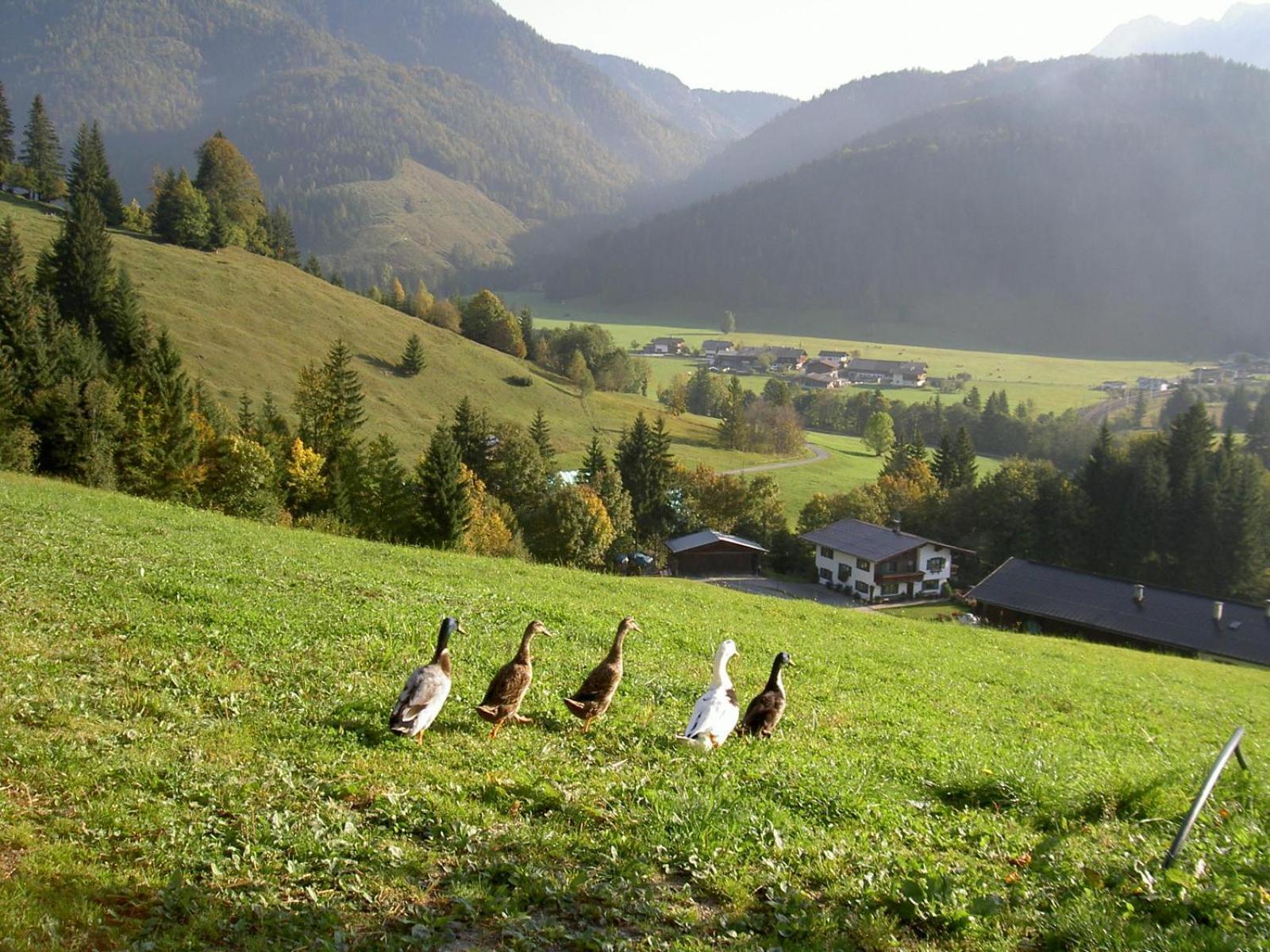 Ferienhof Obertenn Hochfilzen Exterior photo